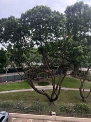 Bayshore Park (D16), Condominium #562144321
